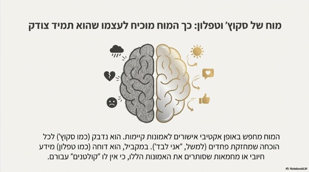 מוח של סקוץ' וטפלון - כיצד כוח התודעה בוחר מה לקלוט ומה להתעלם באמצעות הקולטנים