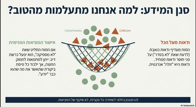 אינפו-גרפיקה המציגה את "סנן המידע" של המוח: רשת הלוכדת ביקורת (משולשים אדומים) אך נותנת למחמאות (עיגולים ירוקים) לחמוק החוצה, מה שמונע ביסוס של אמונה עצמית חדשה.