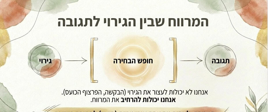 תרשים המציג את המרווח שבין הגירוי לתגובה כמקום שבו נמצא חופש הבחירה מול הנטייה לריצוי.