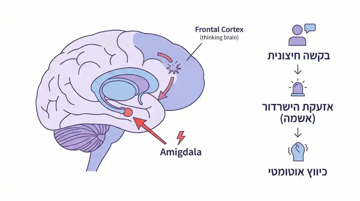 Alt Text: אינפוגרפיקה מודרנית על רקע לבן. חתך צדדי של מוח אנושי עם חץ אדום המצביע על ה"אמיגדלה" ומפעיל אותה, וניתוק הקשר ל"מוח החושב" (פרונטל קורטקס). טקסט מינימלי בHebrew: "בקשה חיצונית" -> "אזעקת הישרדות (אשמה)" -> "כיווץ אוטומטי" תיאור מנגנון רגשות אשמה