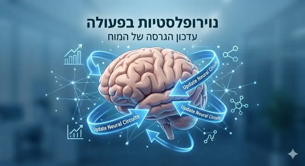 אינפוגרפיקה המציגה את המוח כ"עדכון גרסה". חצים כחולים מראים נוירופלסטיות בפעולה.